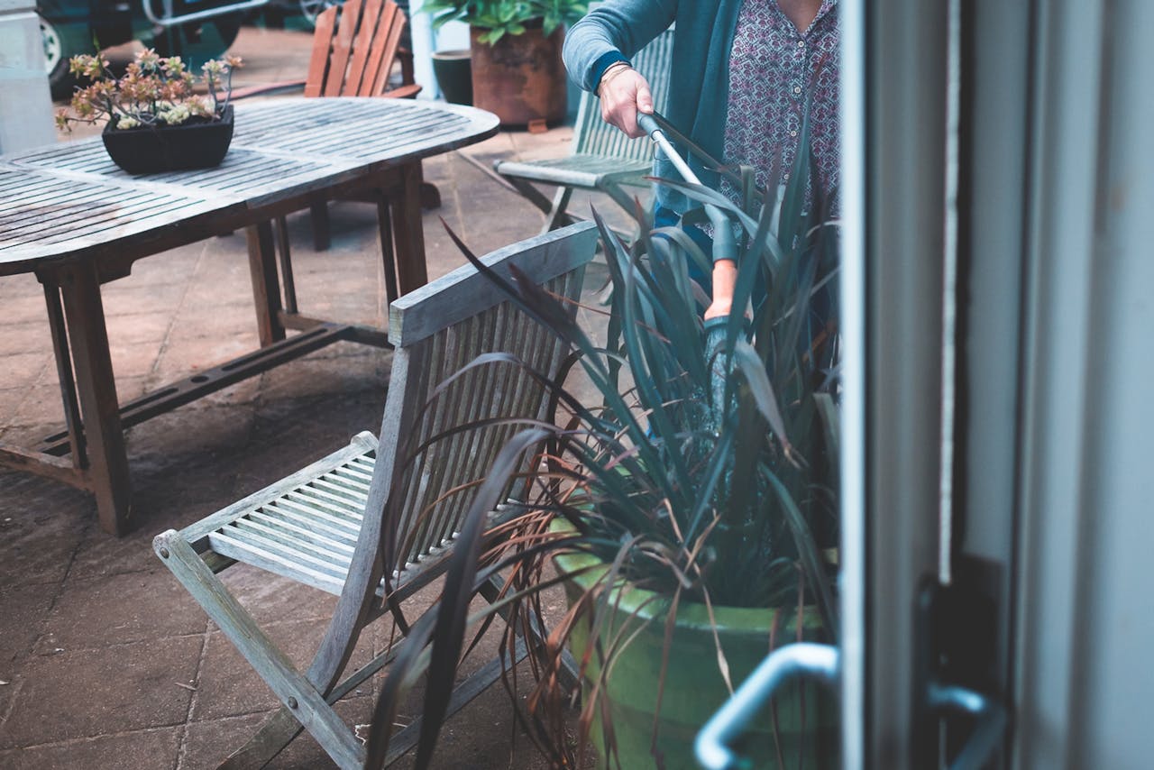 Through window crop anonymous female in casual clothes watering big potted plant from hosepipe in backyard